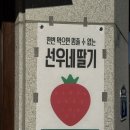 버터리하우스 | 대전 도안동 카페 딸기 디저트 맛집 리하우스