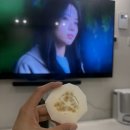 성주환경 | 라온다온참외 성주참외 농장판매 달콤한 과즙이 가득했던 성주참외 후기