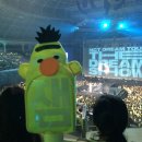 2025 혁오x선셋 롤러코스터 콘서트 다녀온 후기