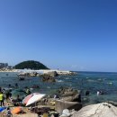 광진민박 | 강원도 스노쿨링 스팟 추천 양양 광진해변 주차 및 후기