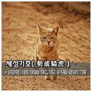 세성