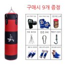 권투 | 권투 샌드백 구매후기와 가격비교
