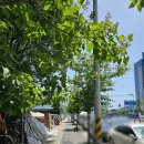 궁동2길 이미지