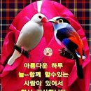 정의송노래마을 ㅡ (소유미.곽지은)ㅡ 이미지