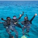 와이키키다이버스 이미지