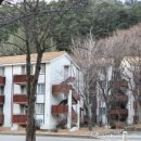 용구니콩닭
