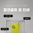 제이하이소프트 | 파크골프공 브랜드 [아식스·SPG·혼마·하타치·볼빅·시도·부쿠로혼마·이프플라잉·주닉스] 9...