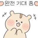 오늘 김밥 토스트 이미지