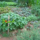 민기농장 이미지