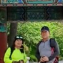 수&호