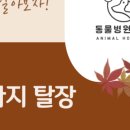 동물병원예지 이미지