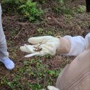 조팝꽃피는마을 | 대산농촌재단 금산 조팝꽃피는 마을을 다녀와서