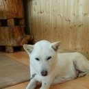 신기축산 이미지