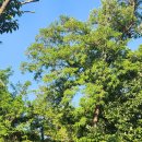 베이비시터 자격증 과정 이미지