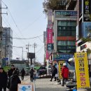 코즈이비인후과의원 | 코즈이비인후과 알러지검사(MAST검사) 비용,결과 후기! (실비보험청구 가능)