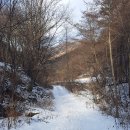 삼척농협농산물산지유통센터 | [삼척] Merry Christmas 산행(숲뒤산~해당봉~장병산)