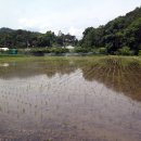 구봉산길 이미지