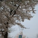아리관광농원