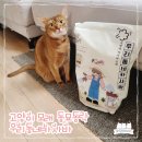 가성비 좋은 고양이모래 동묘동락 우리동네 고양이카사바모래