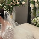 레아샵 이미지