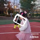 심쿵한 내 이야기 책 만들기 | 11월 월말정산 (북토크, 아이와 3km 마라톤, 하프마라톤, 런데이 현장클래스, 요물러너즈2기)