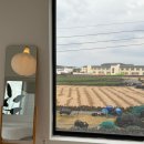 월정리숙소 월정주택 이미지