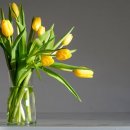 조아모텔 이미지