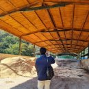 영남축사 이미지