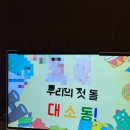 쁘띠트리 | 수원 노보텔 쌍둥이 돌잔치(예약방법, 우드트리 돌상, 쁘띠라뮤 아이폰 스냅 후기)