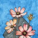 감성수채&펜드로잉 | 코스모스 수채드로잉 수줍은 소녀처럼 곱게 물든 가을꽃