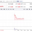 (주)금호메디칼 이미지