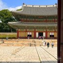 새마을종묘 | 창덕궁, 종묘 방문 후기 [서울 가볼만한 곳, 서울 데이트 코스 추천]