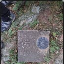 덕적면사무소 이미지