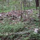 성골목장 이미지