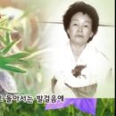 하이얀사 이미지