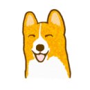 치즈 애견유치원&애견호텔 이미지