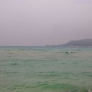 비양도 봄날 민박 이미지