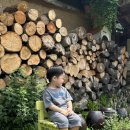 죽장휴게소 이미지