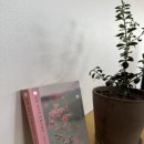 제주해피투데이 이미지