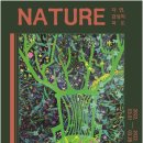 여수미술관 이미지