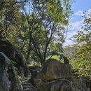 바우정원 이미지