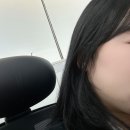 워너비 | 교대 미용실 헤어바이워너비 커트 후기 레이어드컷 정리 제대로 해준 곳