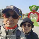 태안군. 안면도 1 ( 남면 몽산포 해수욕장-청포대-마검포 네이처월드)2. 이미지