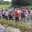 서천보건진료소 이미지