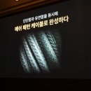 (주)소프트매쉬 이미지