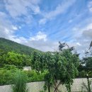 온더힐하우스 이미지