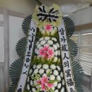 야탑동 351 (분당차병원) 이미지