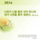 마티아 Daum카페