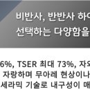 썬팅랜드