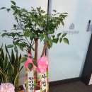 바른손한의원 이미지